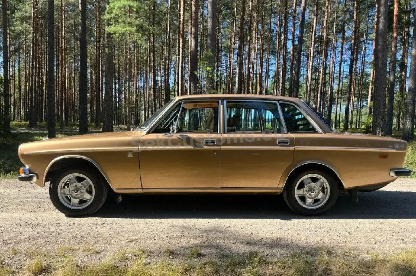 Volvo 164 Rear Window Louver